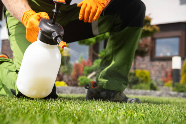Professional Pest Control in San Augustine, TX