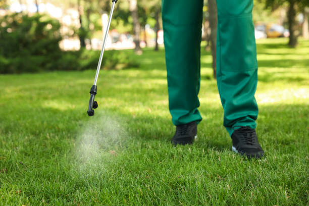 Best Emergency Pest Control  in San Augustine, TX