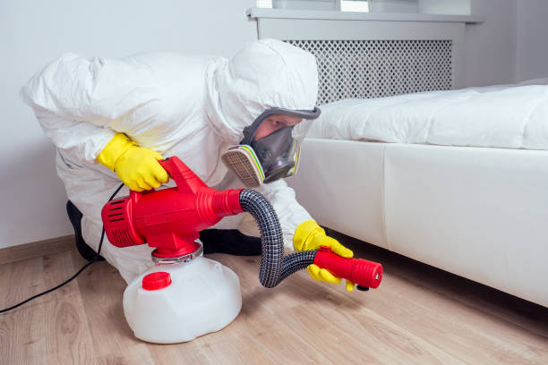 Best Local Pest Control Services  in San Augustine, TX