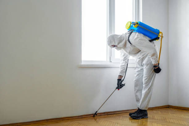 Best Pest Control Near Me in San Augustine, TX