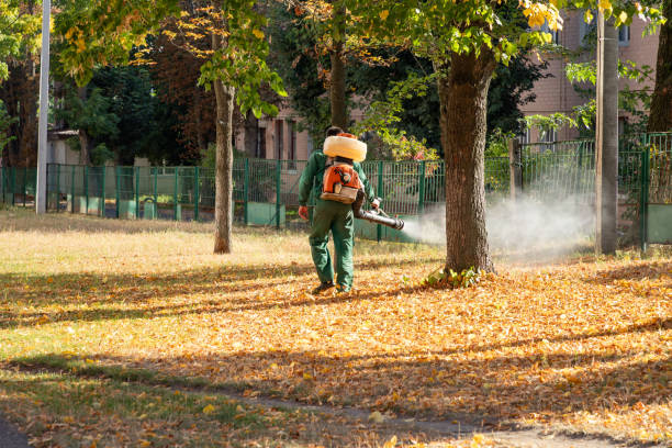 Best Mosquito Control Services  in San Augustine, TX