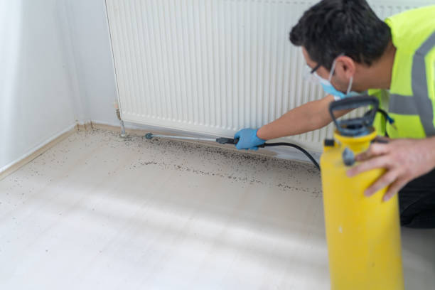 Best Best Pest Control Companies  in San Augustine, TX