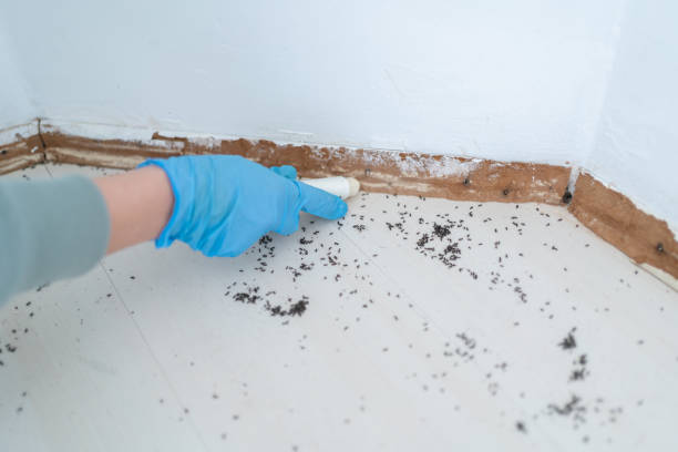 Best Wildlife Control Services  in San Augustine, TX