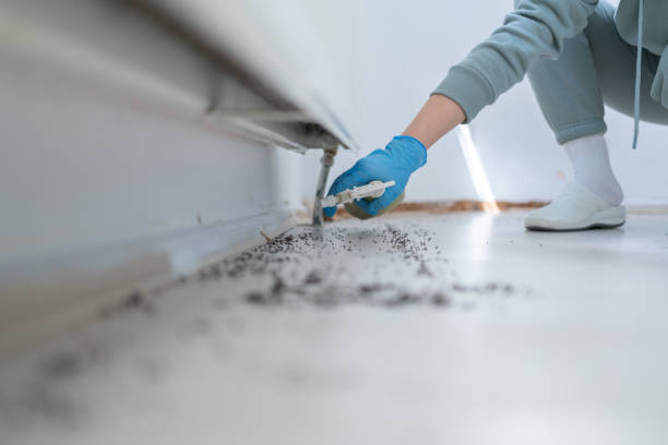 Best Cockroach Control Services  in San Augustine, TX